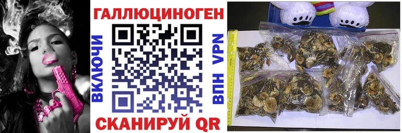 Псилоцибиновые грибы MAGIC MUSHROOMS  это состав  Чебаркуль 